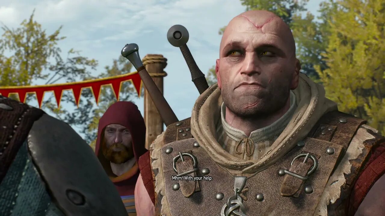 THE WITCHER 3 WILD HUNT Part 22