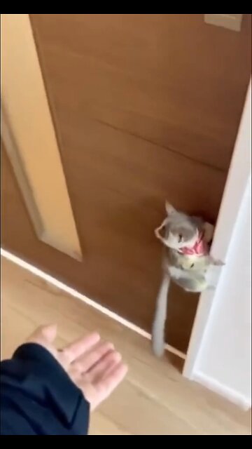 What a problem solver