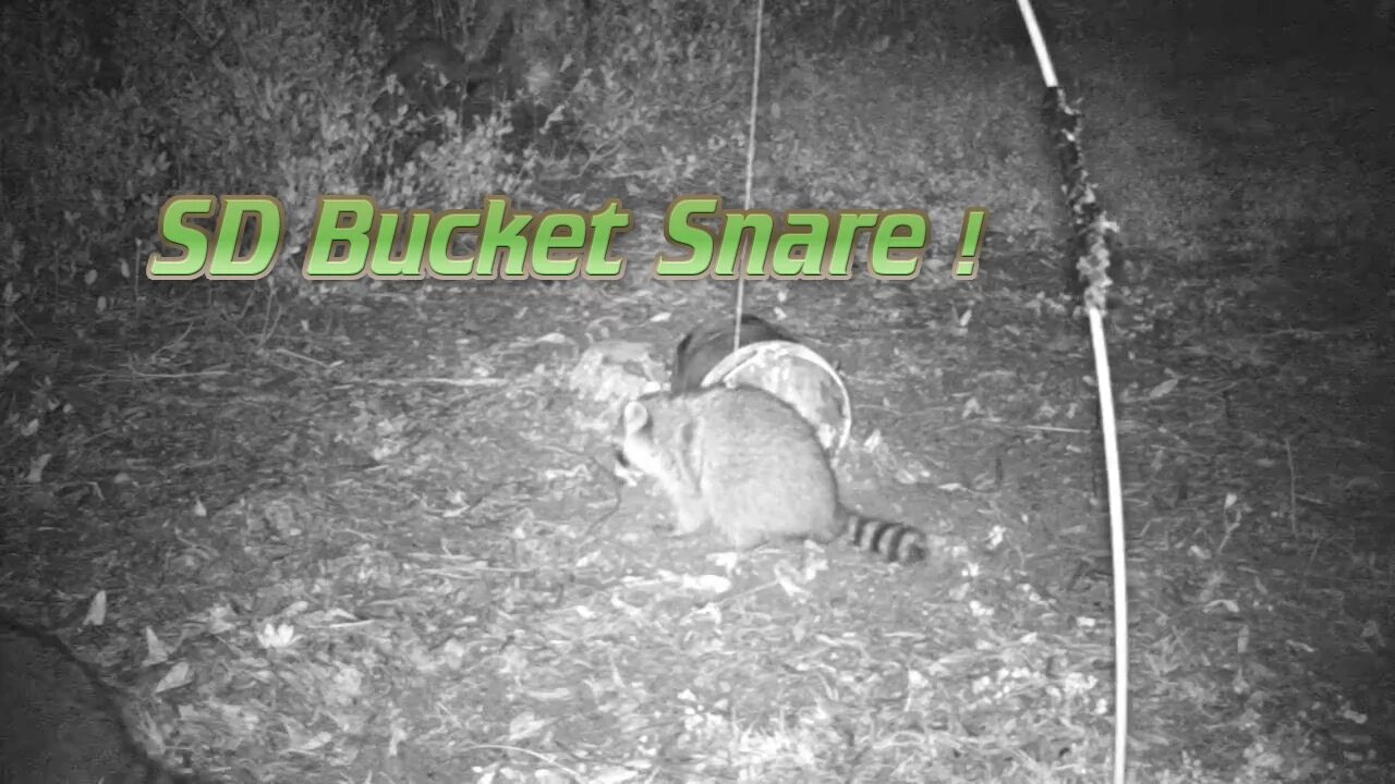 The SD Bucket Snare Trap
