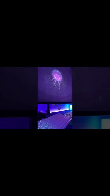 Chill Vibes - Lively Wallpaper