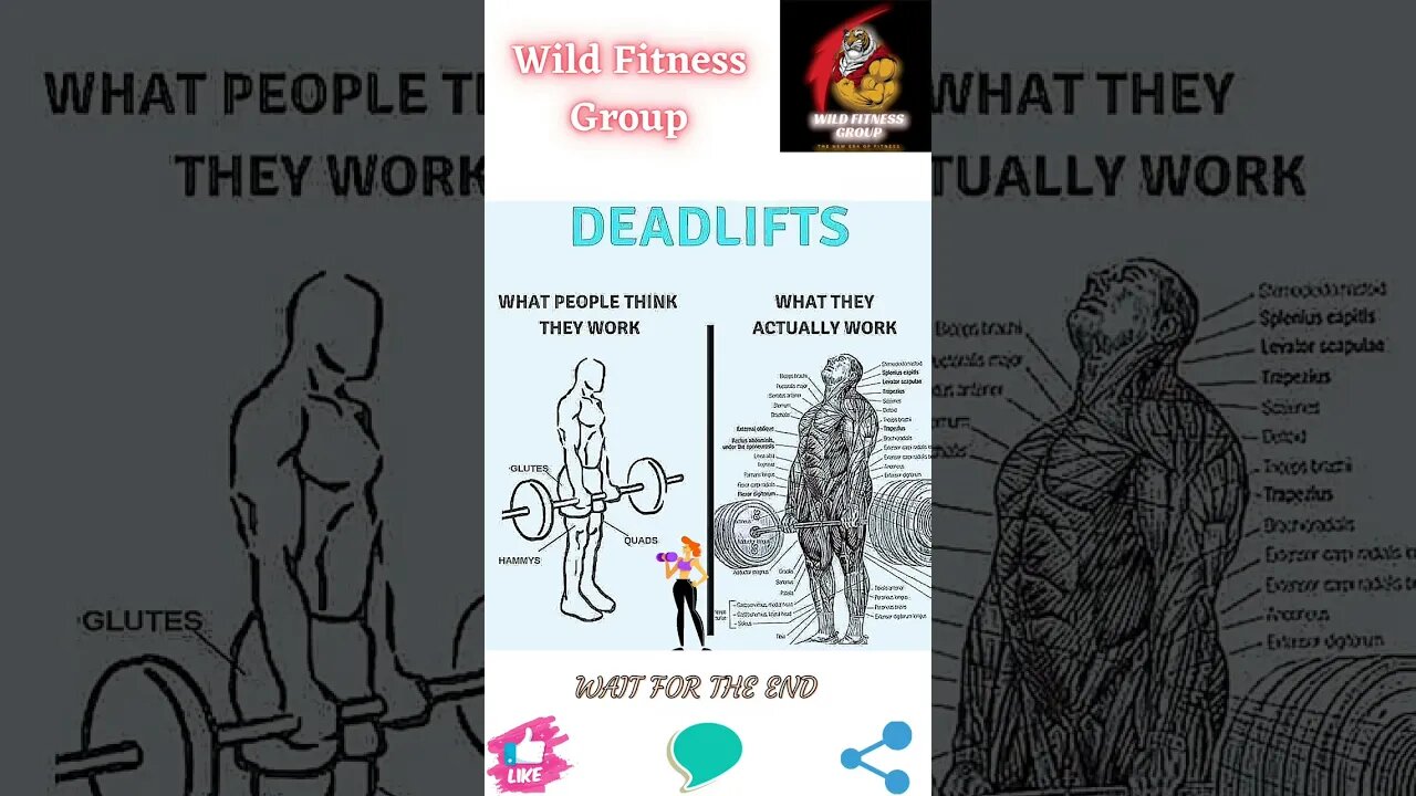 🔥Deadlifts🔥#shorts🔥#wildfitnessgroup🔥4 February 2023🔥