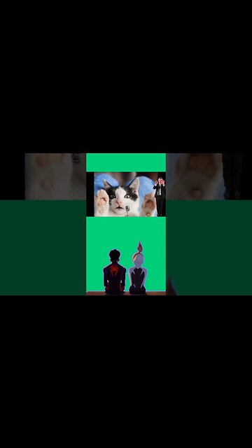 cat singing cover kill bill sza #shorts #cat #sing