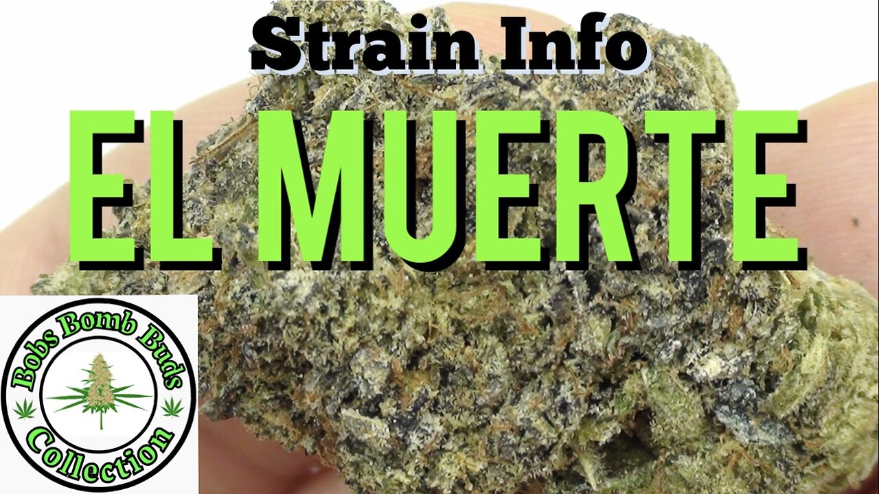 El Muerte Marijuana From BC Bud Supply A Canadian Dispensary.