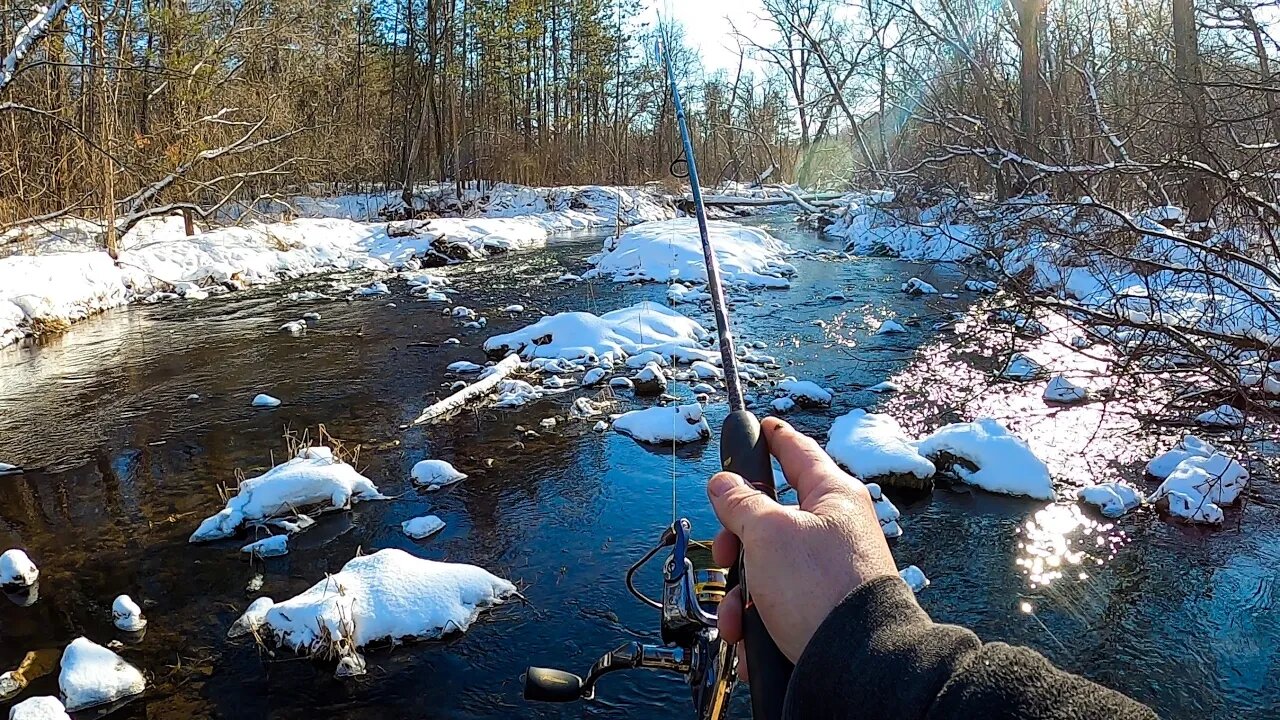 Two Nice Creeks for Winter Trout Fishing