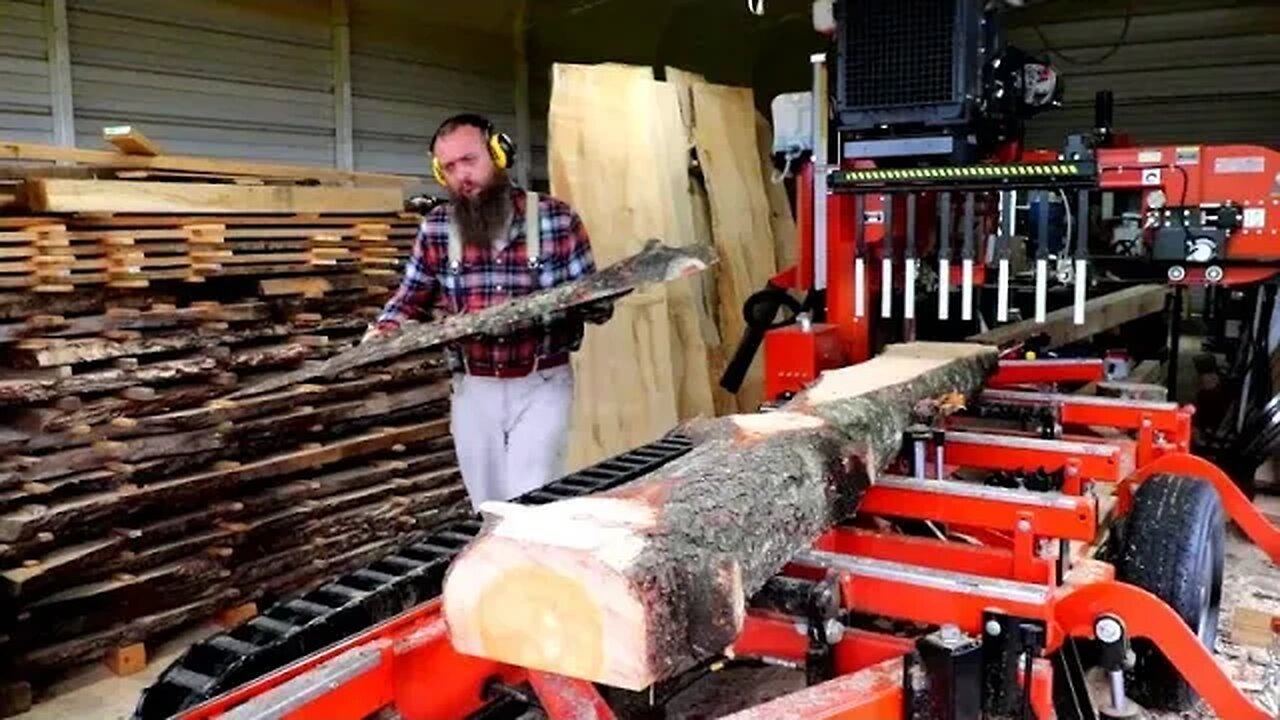 Like Nothing I Have Ever Seen, Walnut That Resembles A Hurricane