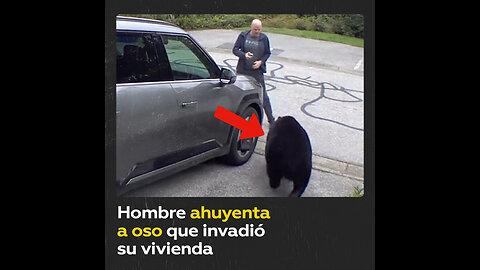 Hombre se enfrenta a un oso que se coló en su garaje