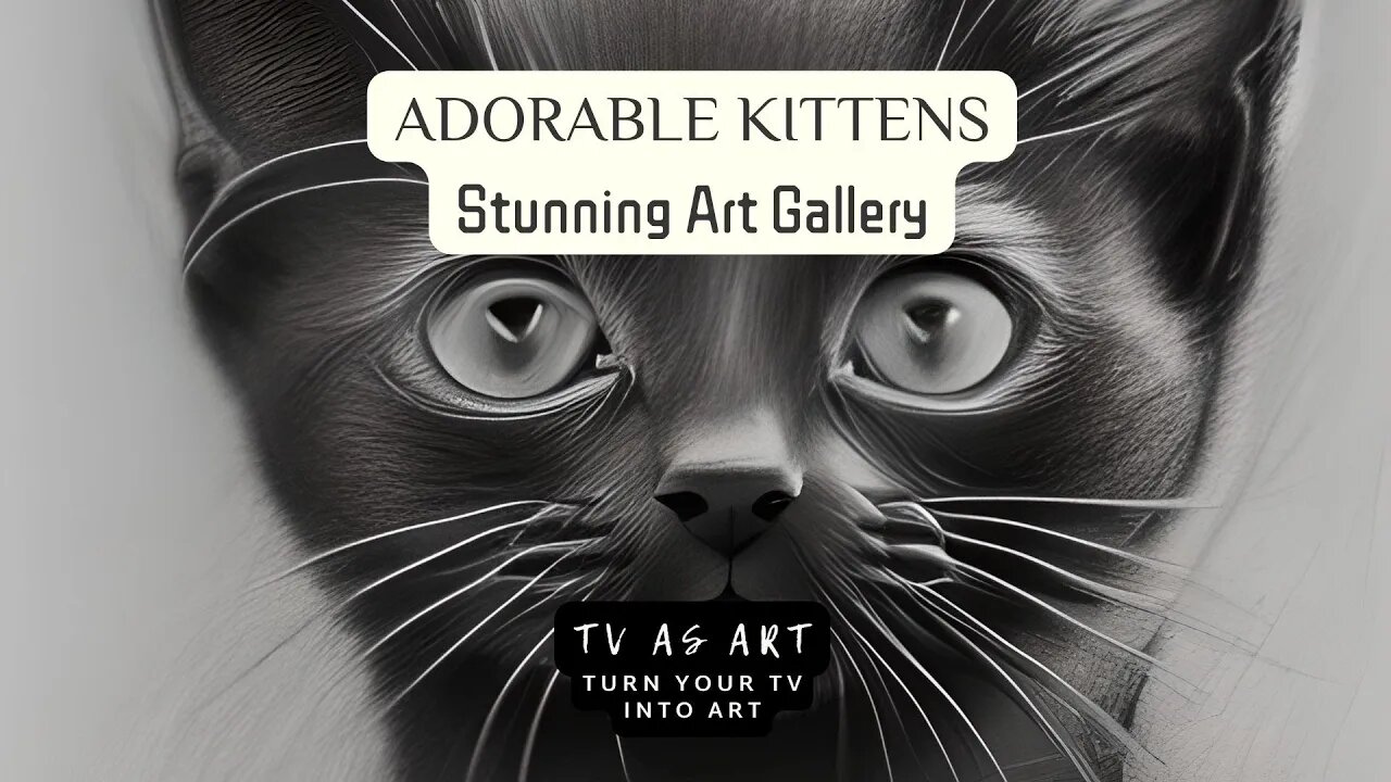 Adorable Kitten Drawings 😻 1hr Gallery HD@tvasart #pencilart #pencildrawing #viral #art #cat #cats