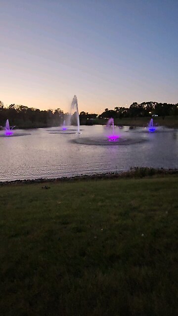 My Peaceful Place - What's Going on in Western NC?