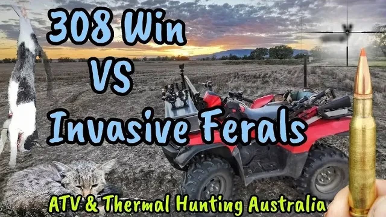 308 Winchester VS Feral Invasive Animals in Australia || Pulsar Thermion XQ50 Scope