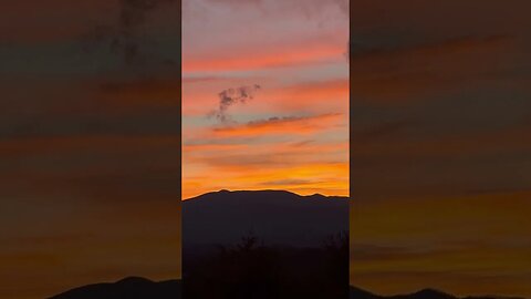 German shepherd puppies and sunset in the mountains