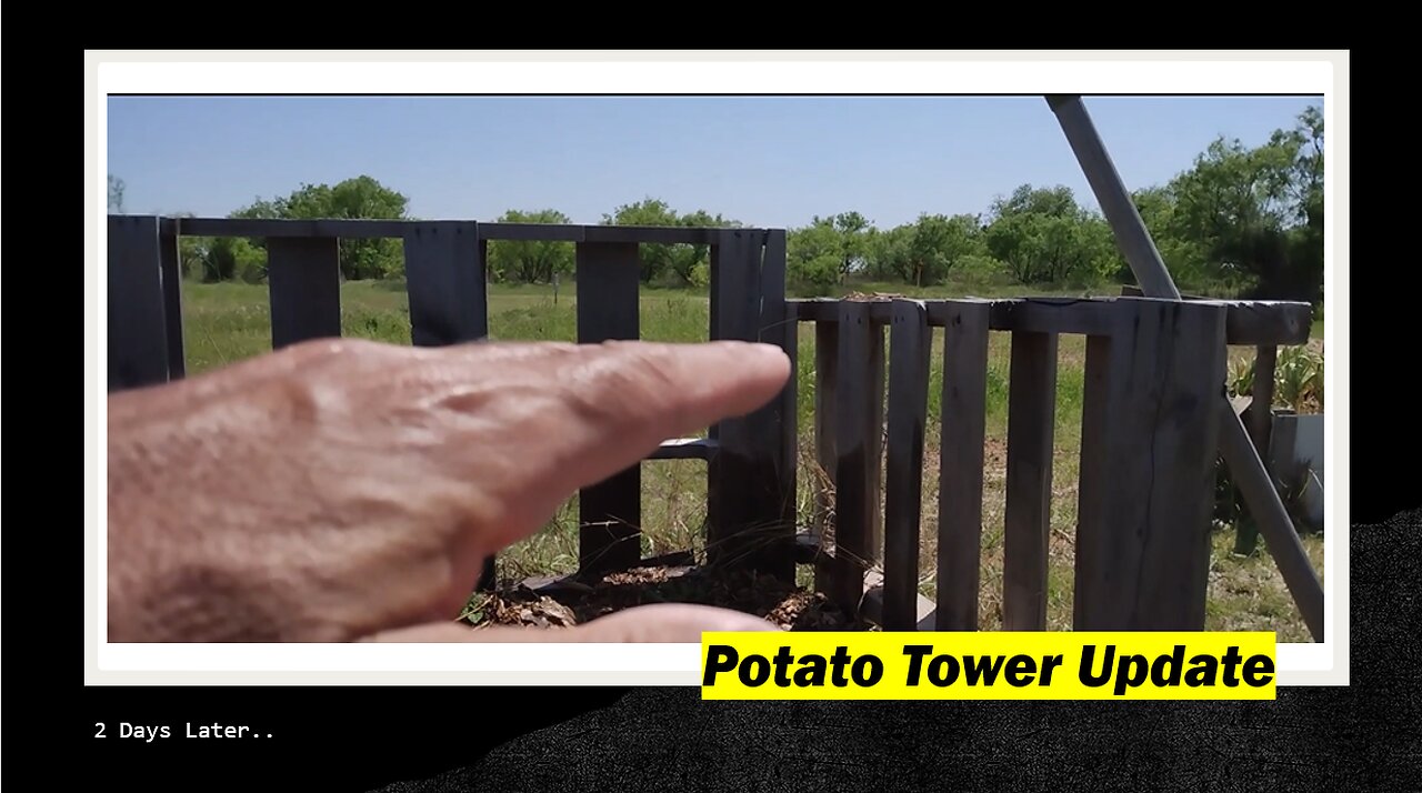 Potato Tower Update