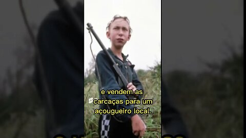 VIDA SEM DESTINO (GUMMO)