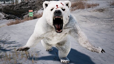 I fought a POLAR BEAR in PUBG