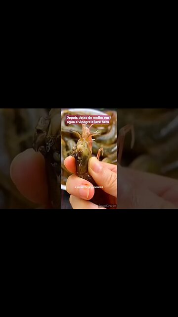 limpeza correta do camarão #shorts #camarão #frutosdomar