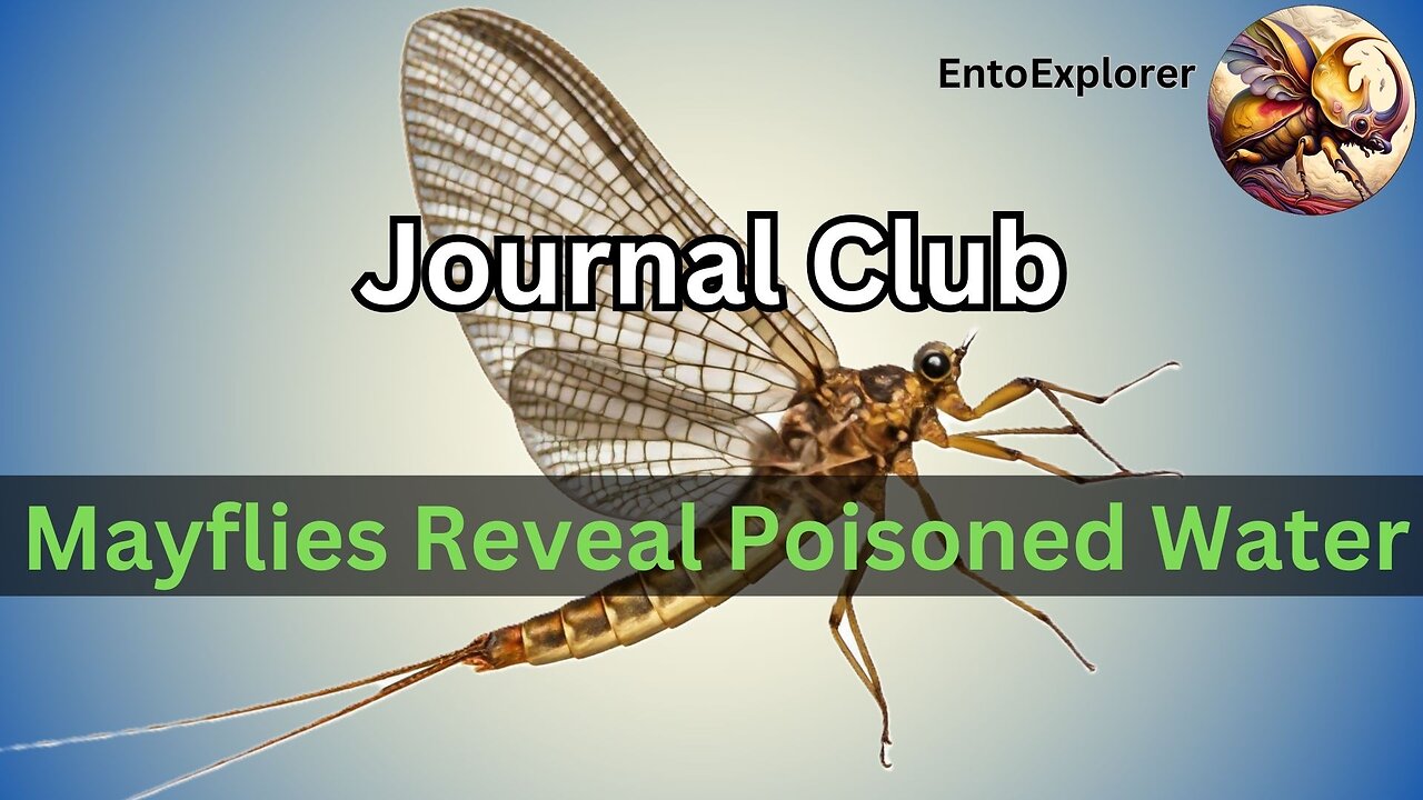 Journal Club - Mayflies and Water Quality