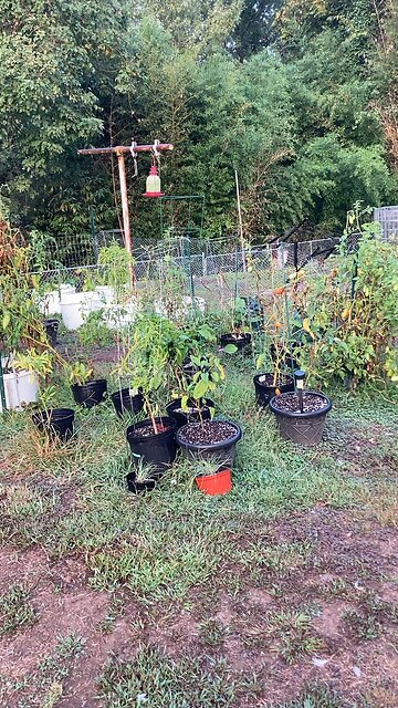 Last Week of September