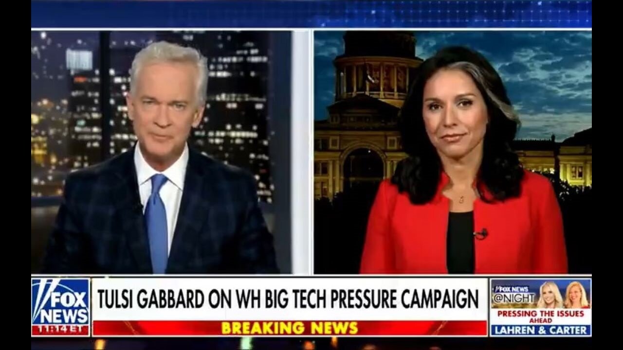 Tulsi Gabbard Says Kamala Harris Portraying Herself As A Freedom Warrior Is A SHAM