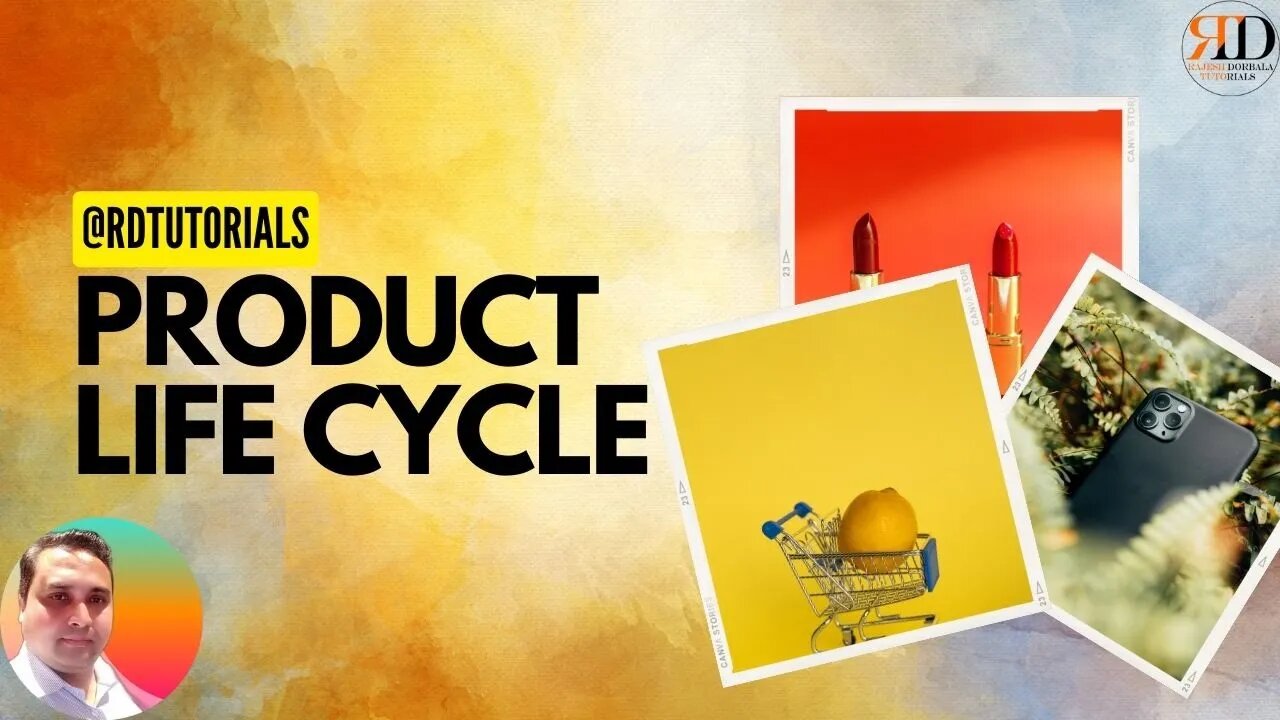 Understanding the Product Life Cycle for Start-Ups and Established Businesses