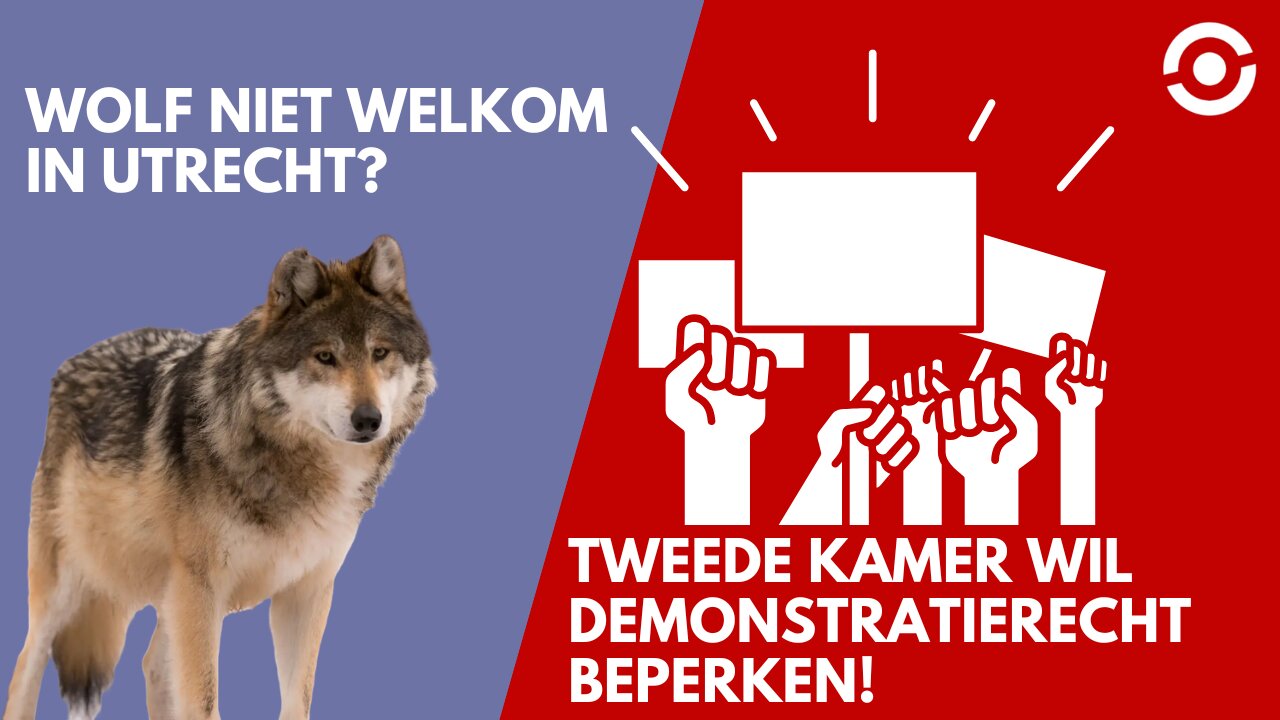 Mogen wolven demonstreren?