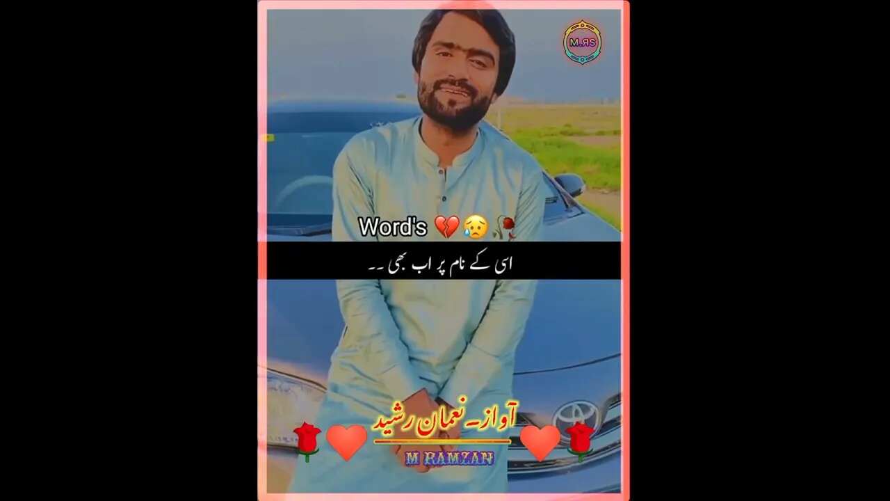 urdu potrry