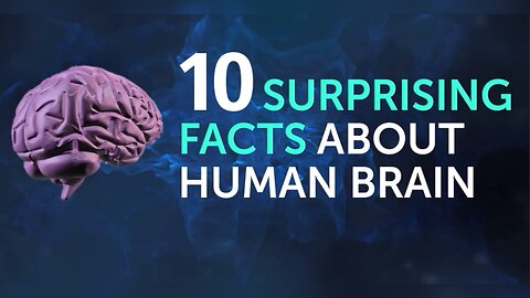 Facts About Brain Prove You're Capable of Anything
