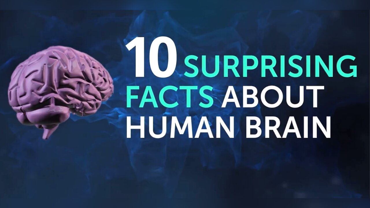 Facts About Brain Prove You're Capable of Anything