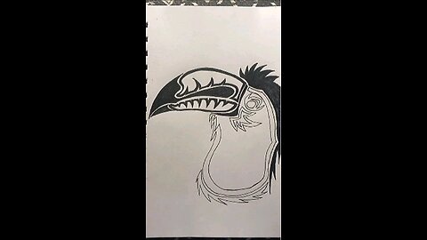 Toucan Drawing Part 2