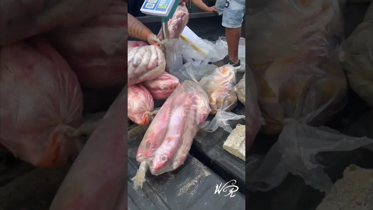 W&R Short: Fish delivery 🐟 Dominican Republic