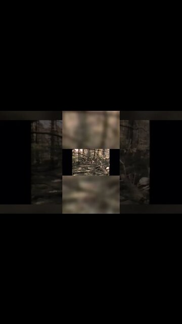 QUOTES, Founding Fathers Edition ep98 Hessian Mercenary sees “what Liberty can do”. Do you? #shorts