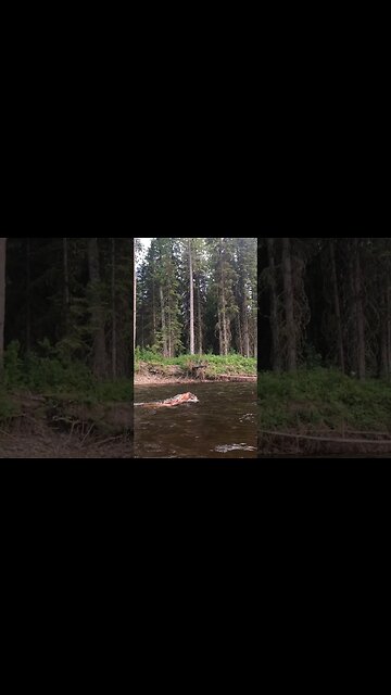 Off-Grid Heat Wave.... Solved #shorts