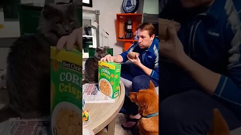 Hardest Thing About Meals