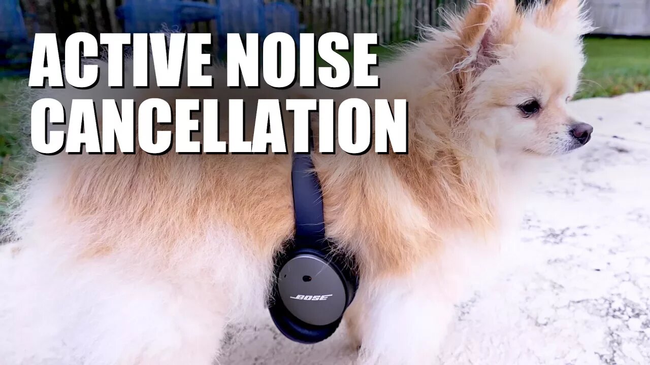 How Do Noise-Cancelling Headphones Work?