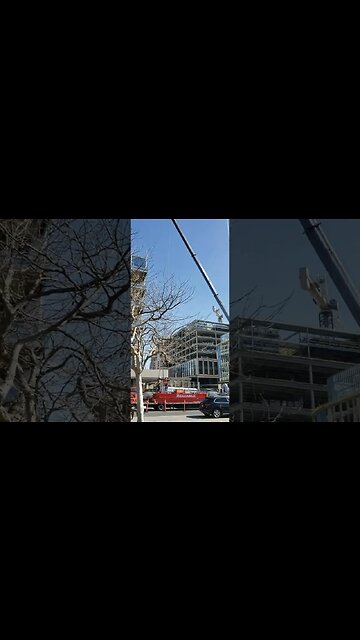 Bringing Down A Crane Today