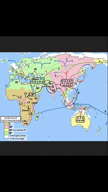 Not a horse race, not a dog race, but a human race. Stop running.