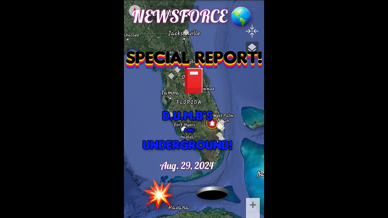 NEWSFORCE! 🌎 SPECIAL REPORT! 📕 ✨️ DUMB'S & UNDERGROUND 💥 🕳 ORANGE 🟧 SCREEN