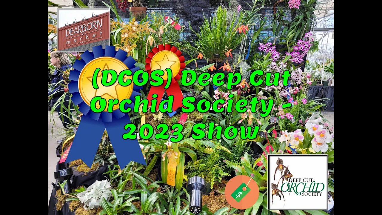 (DCOS) Deep Cut Orchid Society - 2023 Show