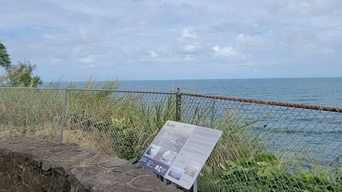 LIVE In Hawaii - Thar Be Whales!