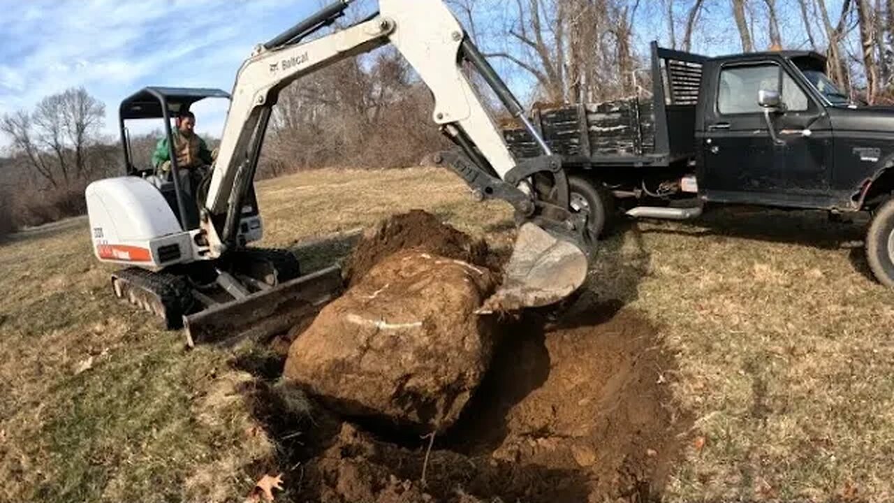 Digging Up BIG Rocks with a Mini Excavator | Excavating the Hayfield