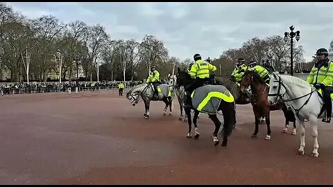 Police horse plays up #buckinghampalace