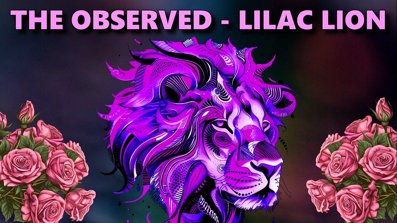 The Observed - Lilac Lion