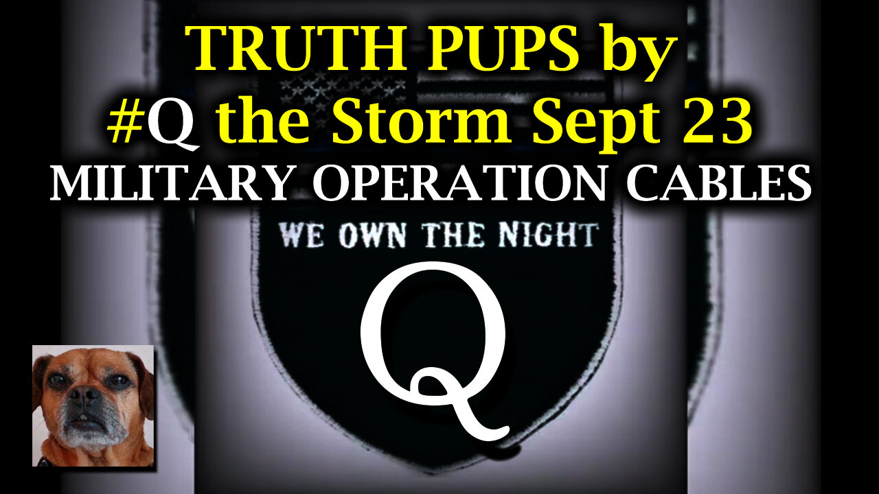 TRUTH PUPS by #Q the Storm 9.23.24 - MILITARY OPERATION CABLES