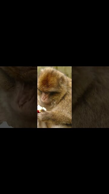 This is cooler than Chat GPT! #shorts #aitools #ai #aimarketing #websitesyouneedtoknow #chatgpt