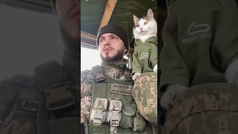 #zsu #ukraine #shorts