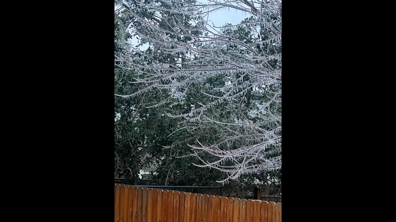 Forgive and Forget with Hal Sadi Episode 305