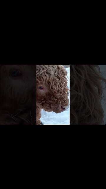 What is Ezra wearing?(1)