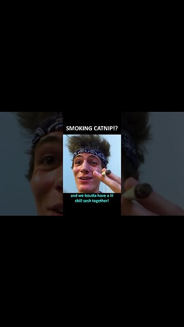 Smoking CATNIP! 😸😸