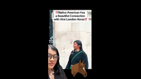 "Native American Connection: The Viral London Horse's Unlikely Friend"