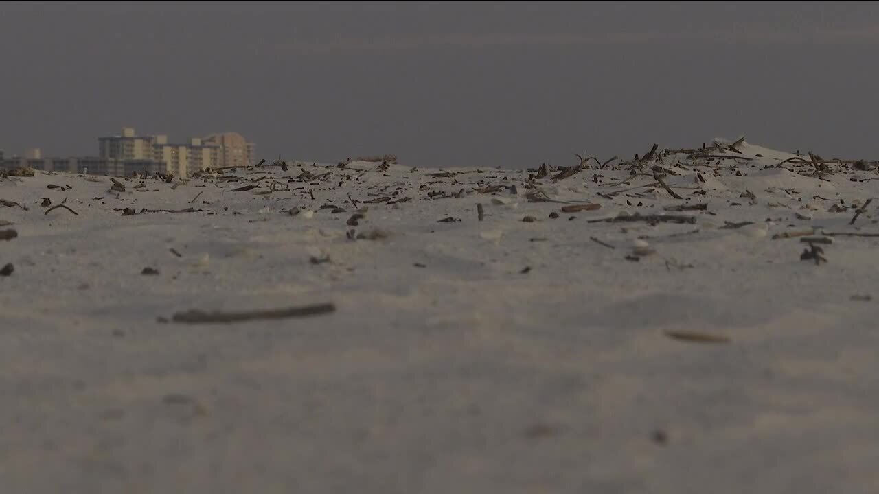 Beach researchers presenting idea to cut costs, save lives in building back Fort Myers Beach