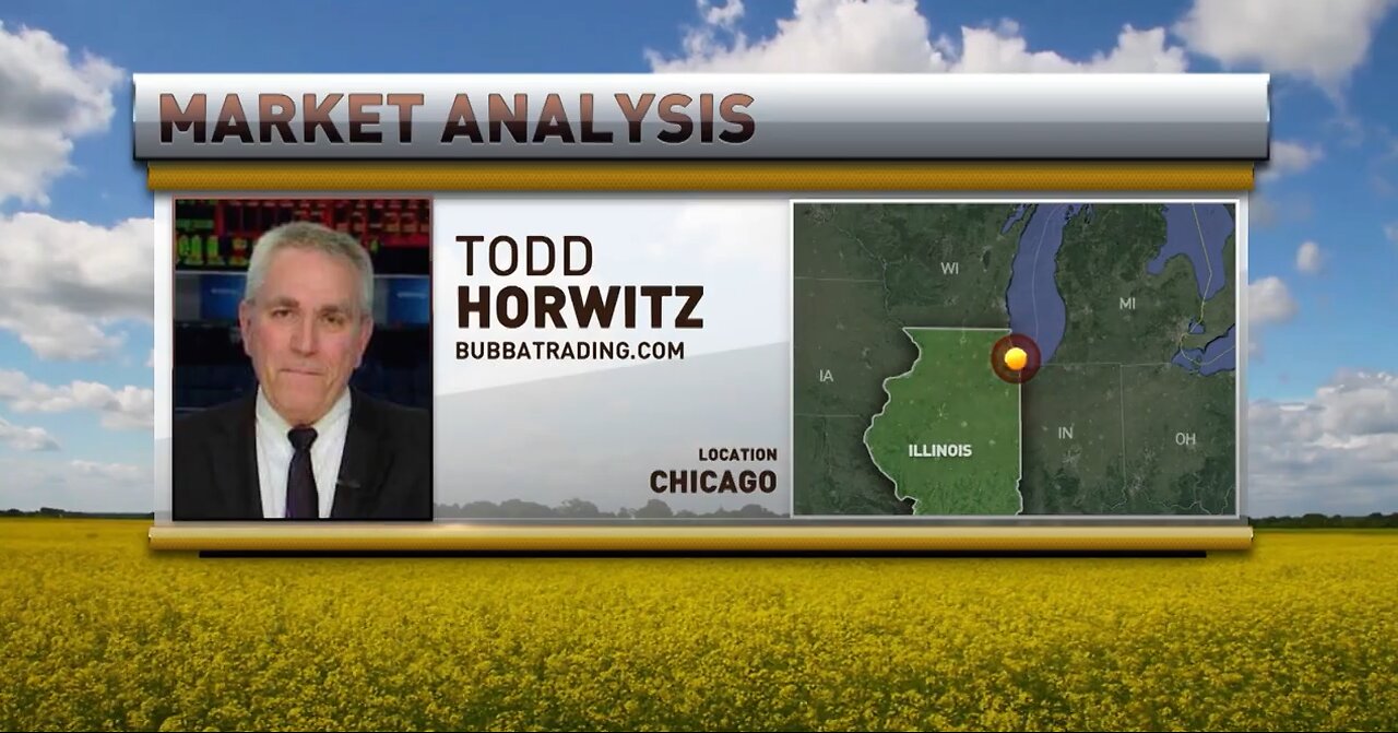 Markets in a Maze of Nothing for 6 Months