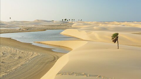 The Beautiful Sahara Desert🐪